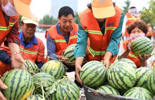 郯城最新吃瓜大事件视频,视频揭秘惊人真相