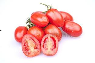 抖音圣女果吃瓜视频,圣女果吃瓜新潮流，趣味视频引网友热议