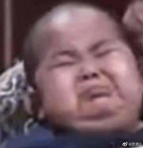 吃瓜生存视频,短视频时代的娱乐盛宴