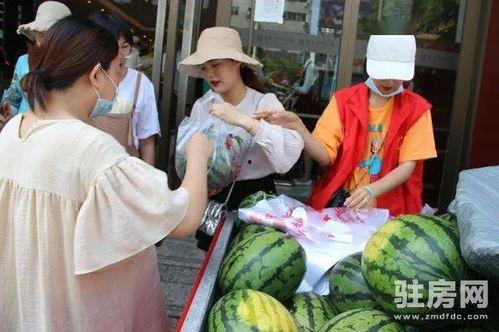 蓝澜视频吃瓜,揭秘娱乐圈吃瓜大事件