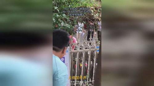 大溪吃瓜现场视频播放,一幕幕爆笑瞬间回顾