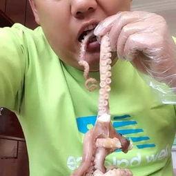 瓜哥吃八爪鱼视频大全,趣味视频大盘点