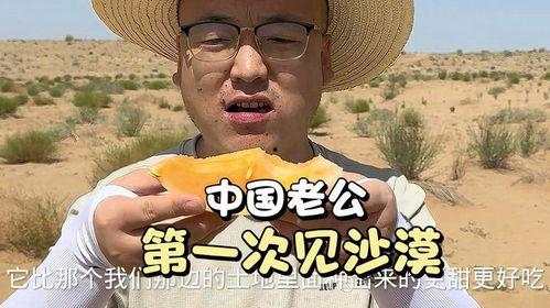 吃沙漠密瓜视频,揭秘沙漠密瓜的独特魅力