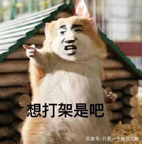 吃瓜视频吵架是哪一集,揭秘热门剧集背后的争议瞬间