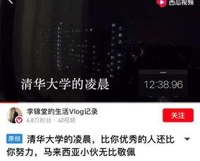 在线吃瓜vlog视频